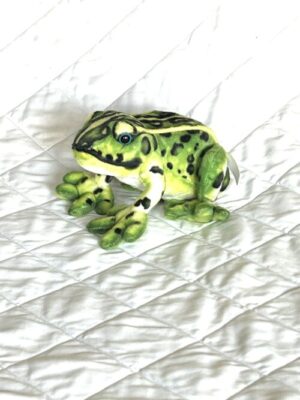 Frog Toy