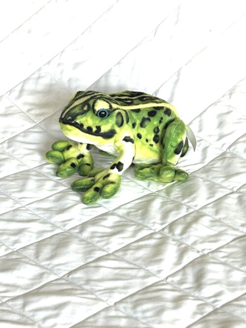 Frog Toy