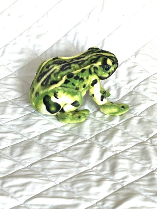 Frog Toy - Image 2