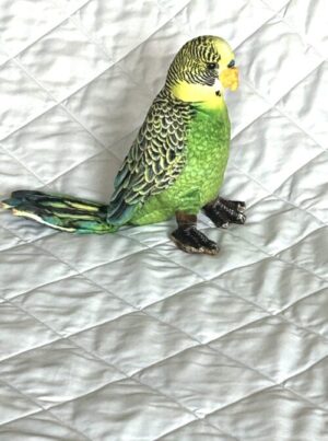 Green Parakeet Toy