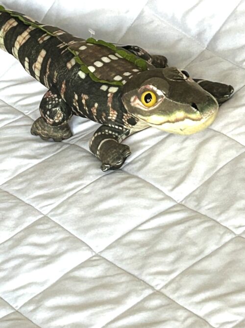 Brown Alligator Toy