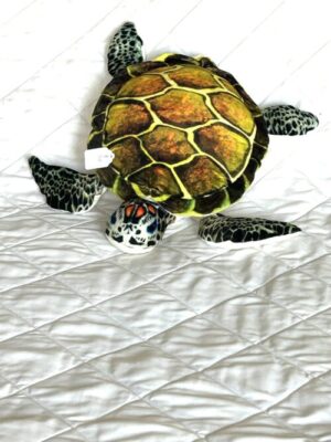 Dream Turtle Toy
