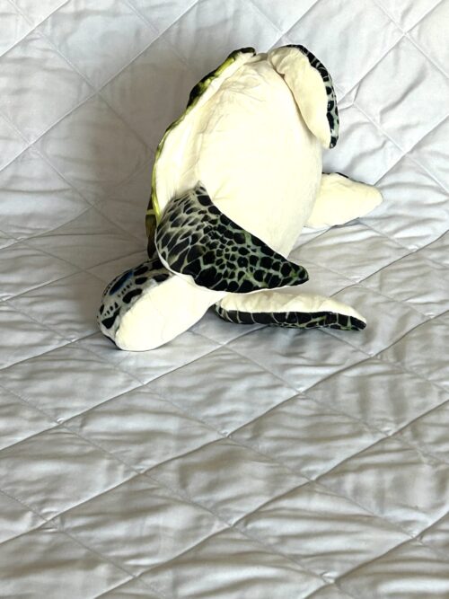 Dream Turtle Toy - Image 2