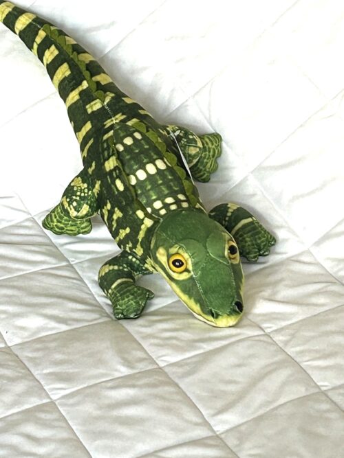 Green Alligator Toy