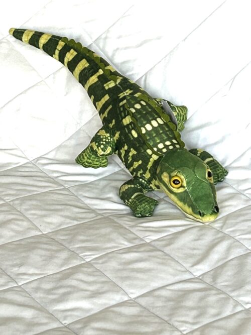 Green Alligator Toy - Image 3