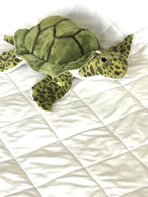 Green Turtle Toy