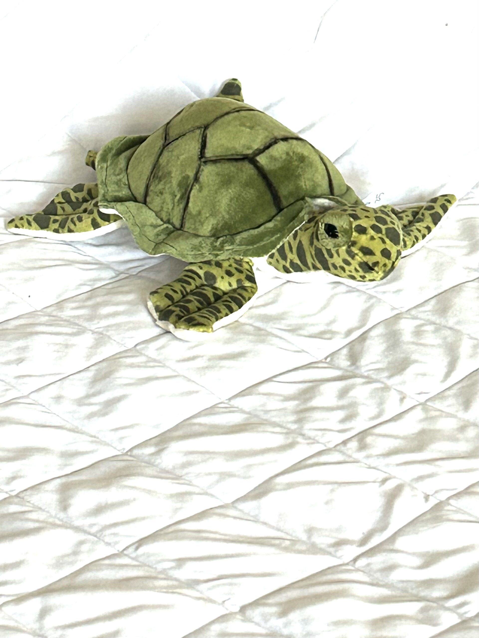 Green Turtle Toy - Image 2