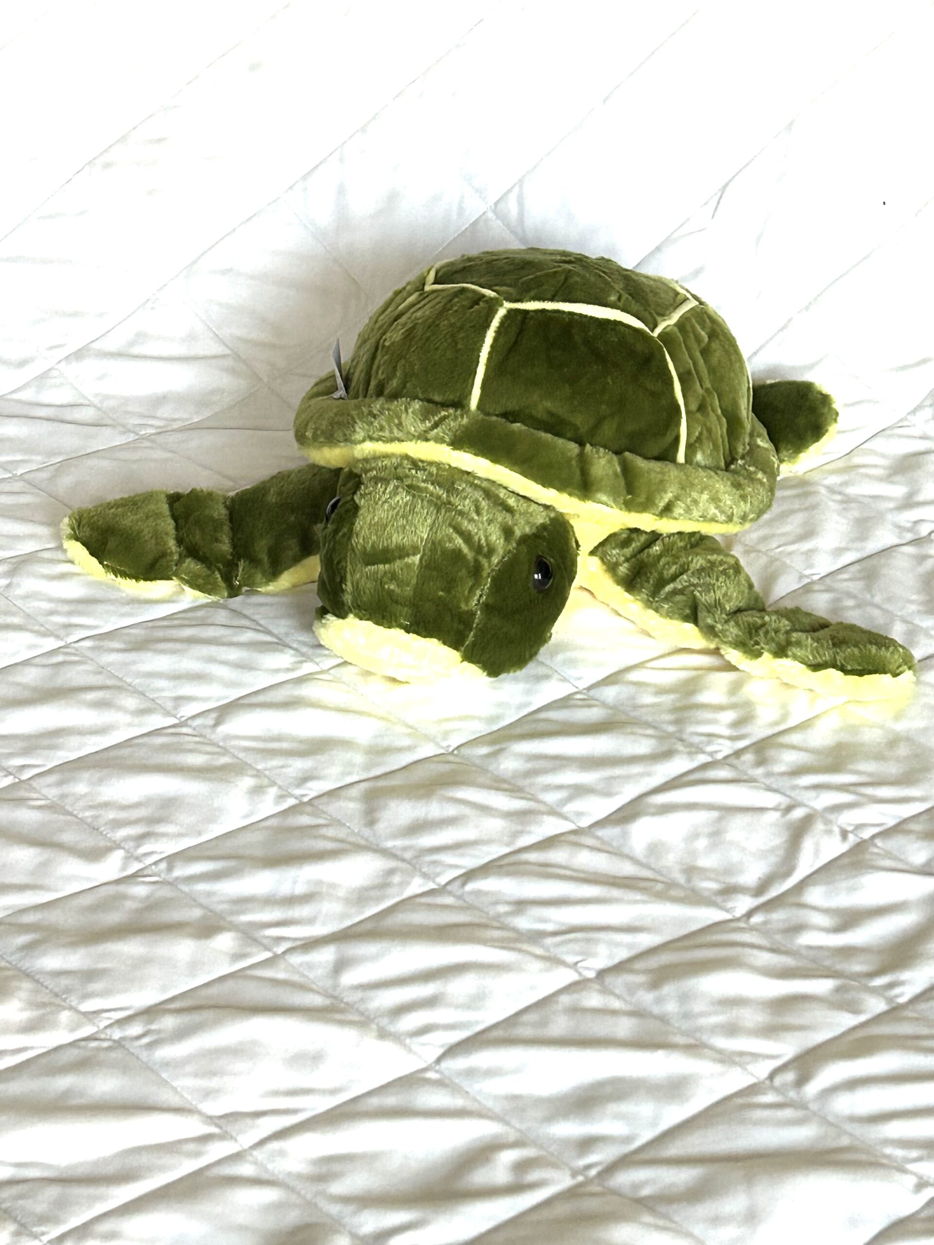 Sea Turtle Toy