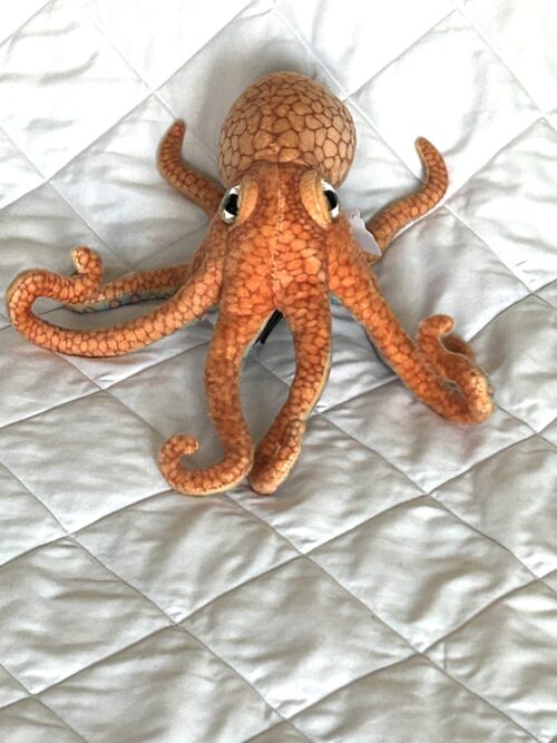 Small Octopus Toy