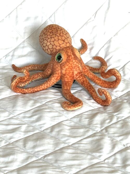 Small Octopus Toy - Image 2
