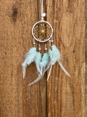 Aqua Dream Pearlized Dreamcatcher