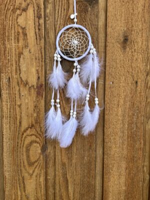 Moon Night Shine Dreamcatcher