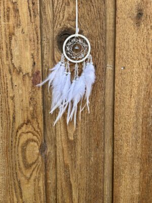 Snow Flake Dreamcatcher